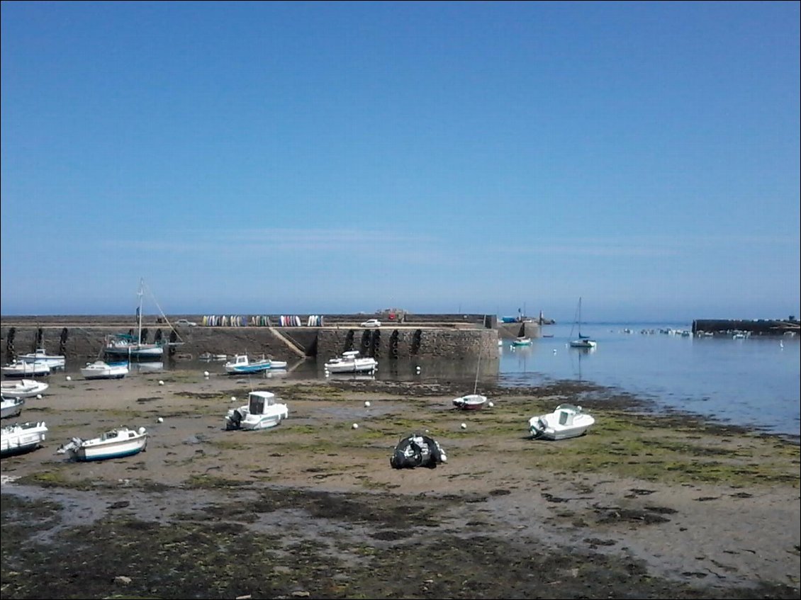 Port de Roscoff : marée basse