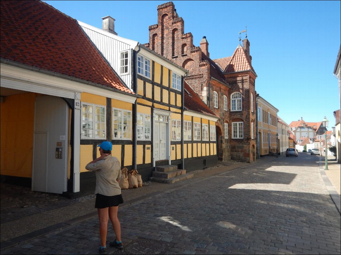 VIBORG