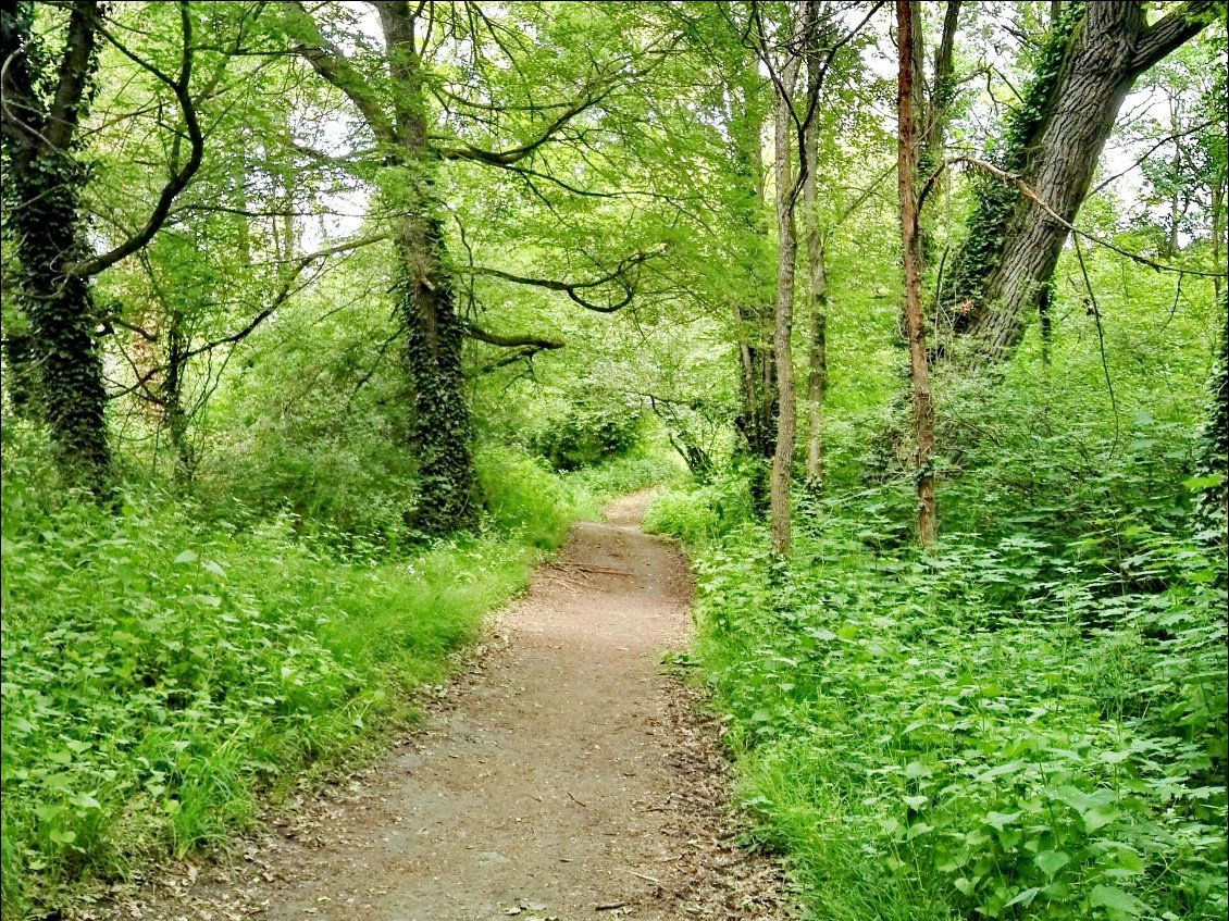 Portage entre Andrézieux et Bouthéon.