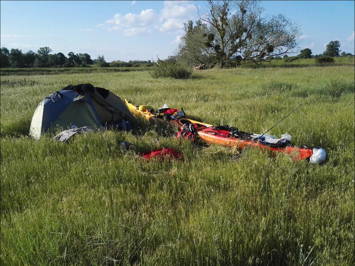 Bivouac sauvage dans la prairie fluviale.