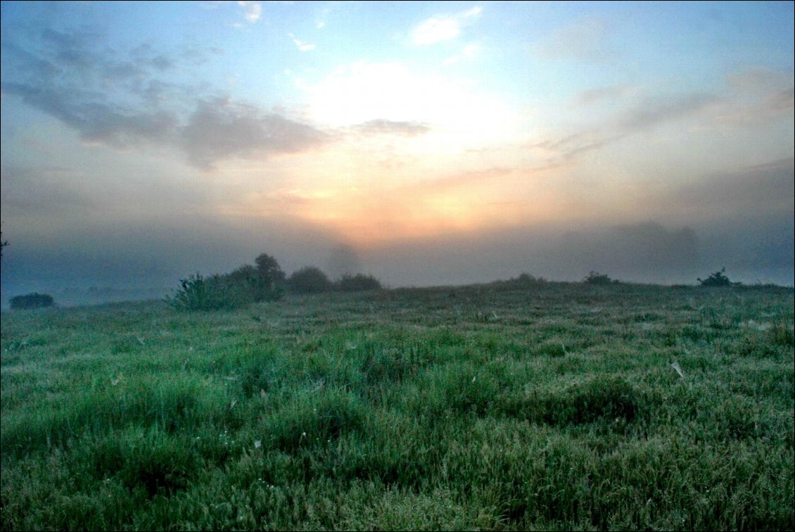 Brume matinale.