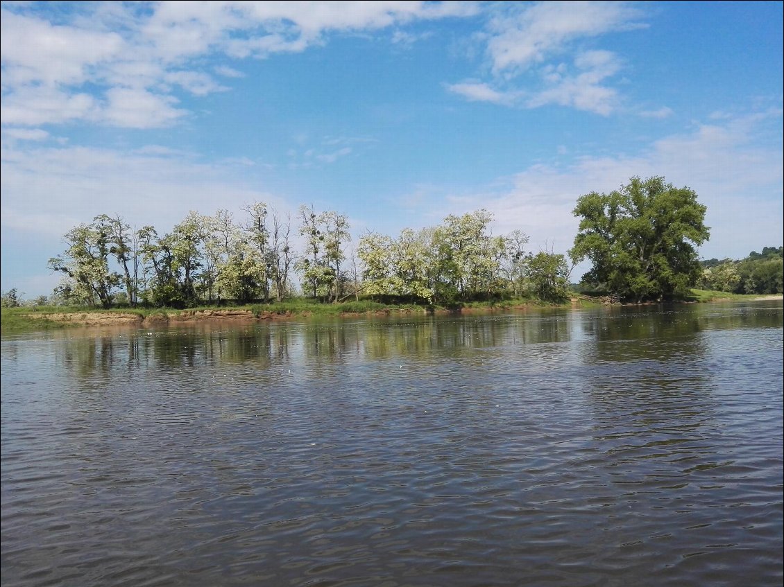 Confluence avec l'Arroux.