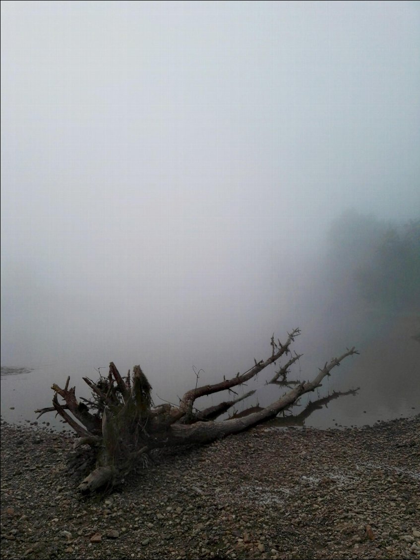 Bivouac dans la brume matinale