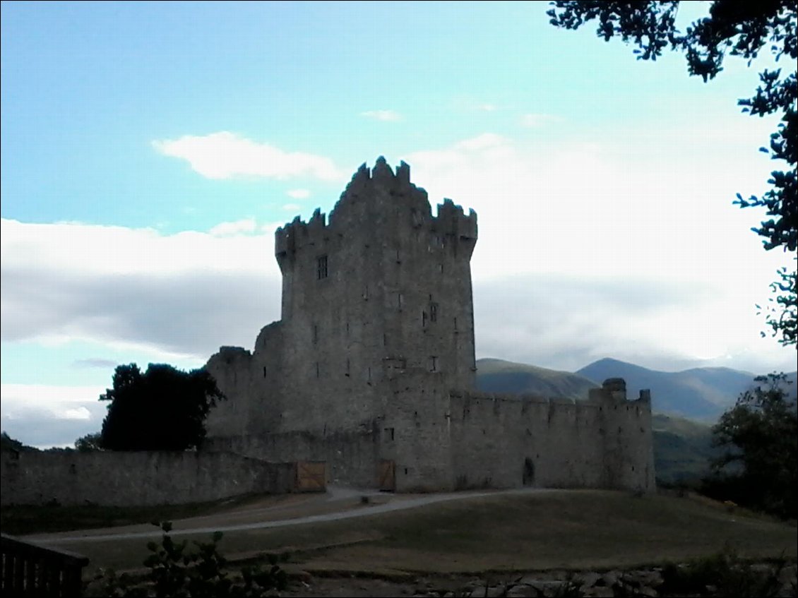 Ross Castle. Château typique du Moyen Age irlandais et fief du clan O'Donoghue. Plus tard, il changea de main. On raconte qu'O'Donoghue tomba de la plus haute fenêtre dans le lac Lough leane, avec son cheval, sa table et sa bibliothèque ...