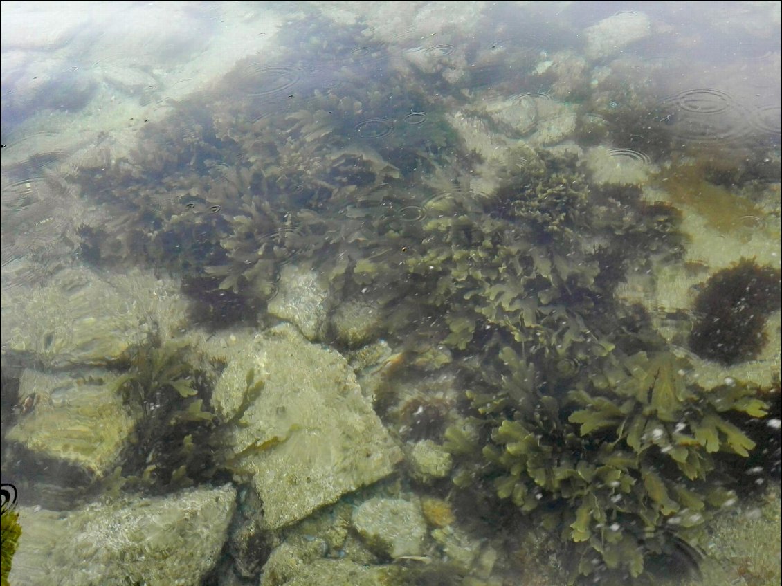 Marée basse au large de Penmarc'h