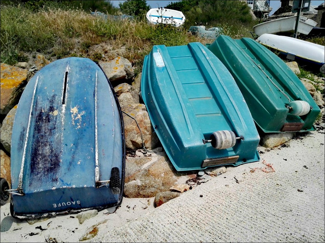 Port du Loch. Plates