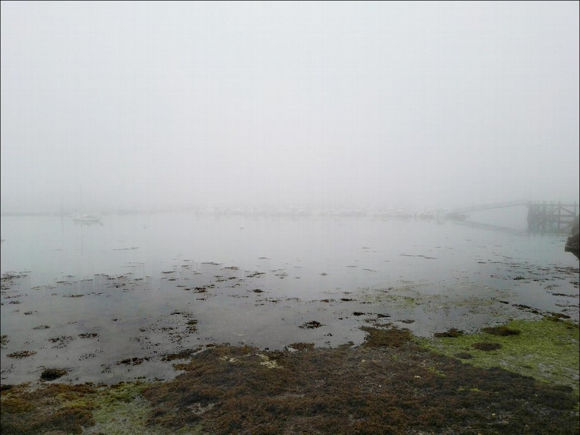 Camaret-sur-Mer. Port de plaisance.