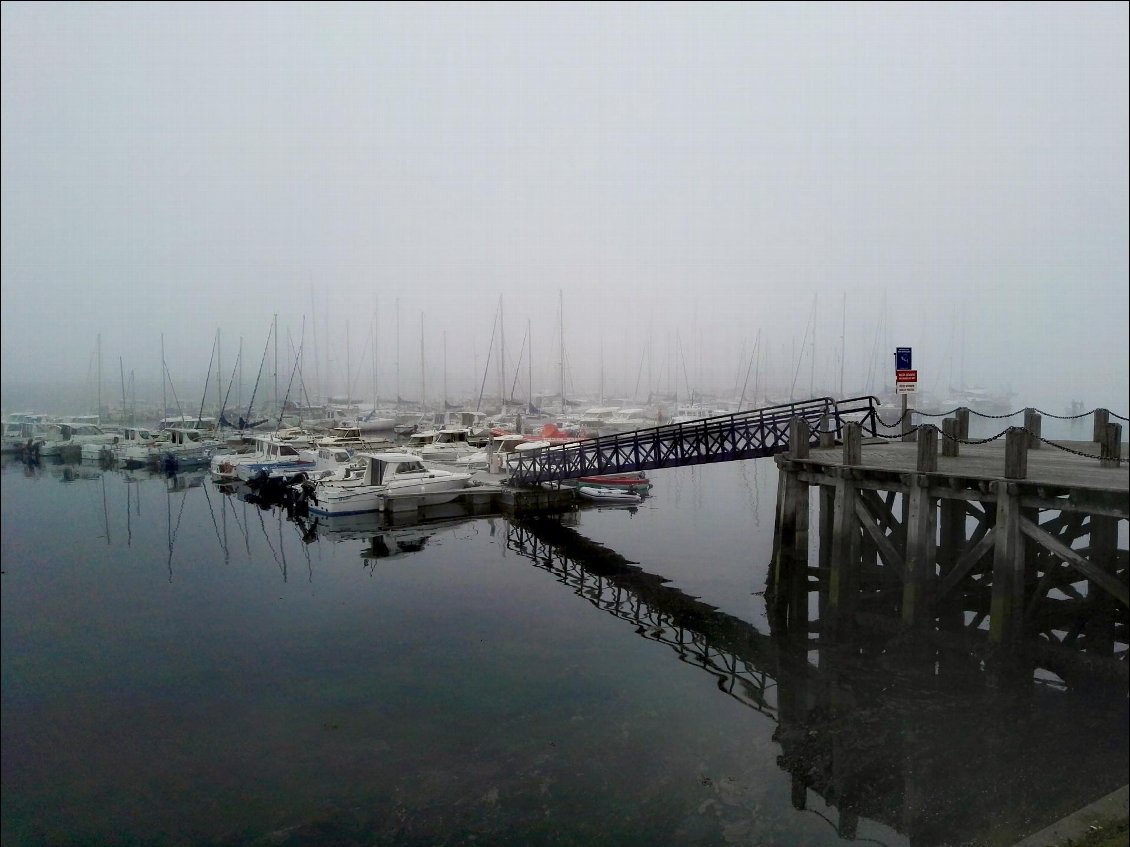 Camaret-sur-Mer. Port du Notic