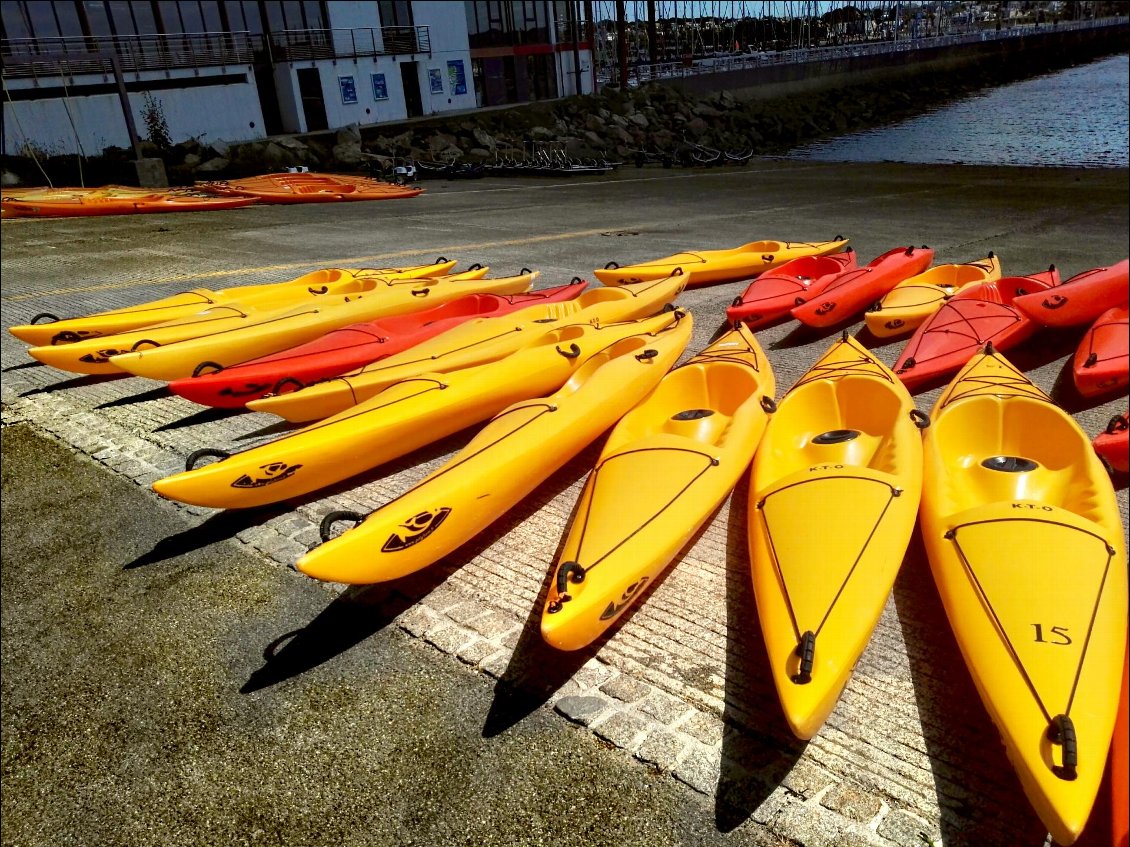 Brest, base nautique, port du Moulin Blanc, kayaks en liberté
