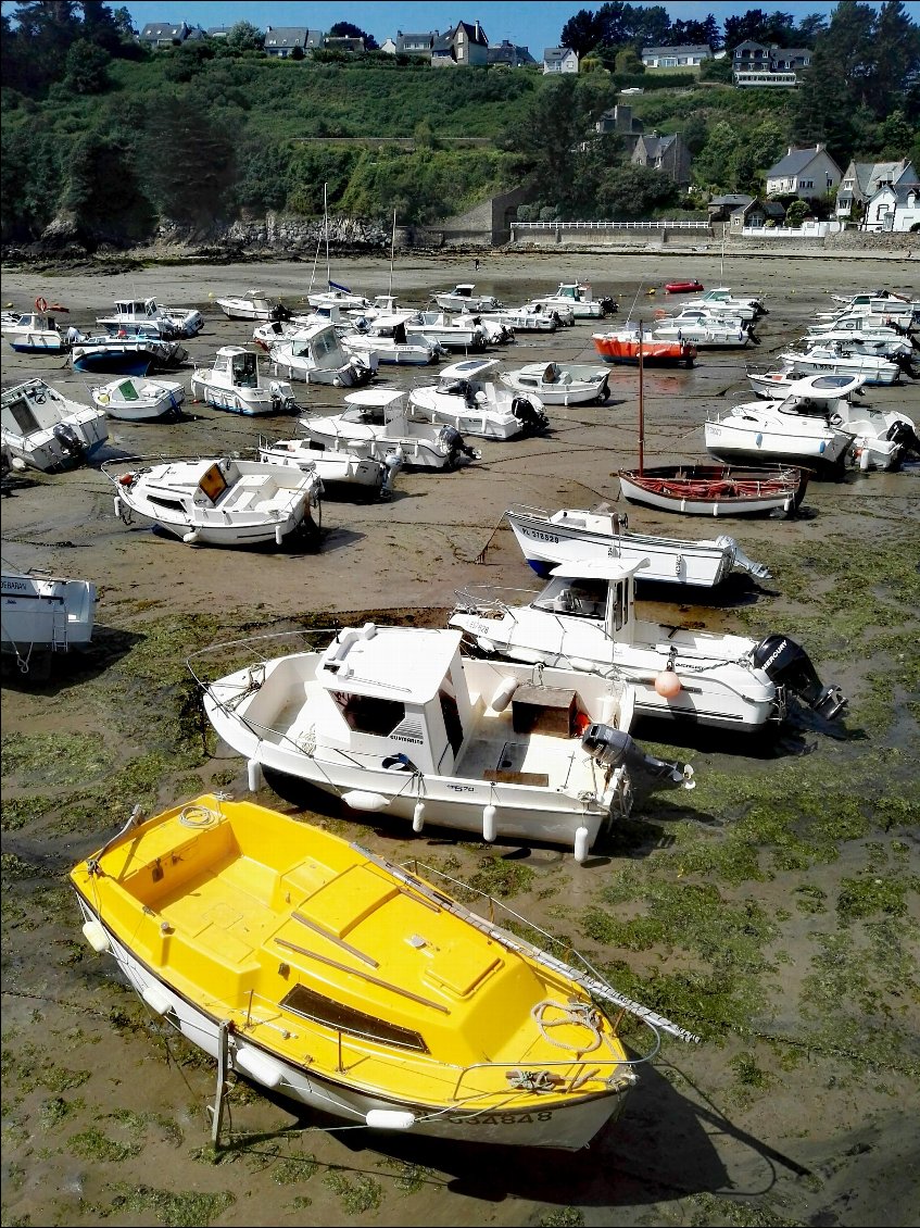 Port de Bréhec. Marée basse