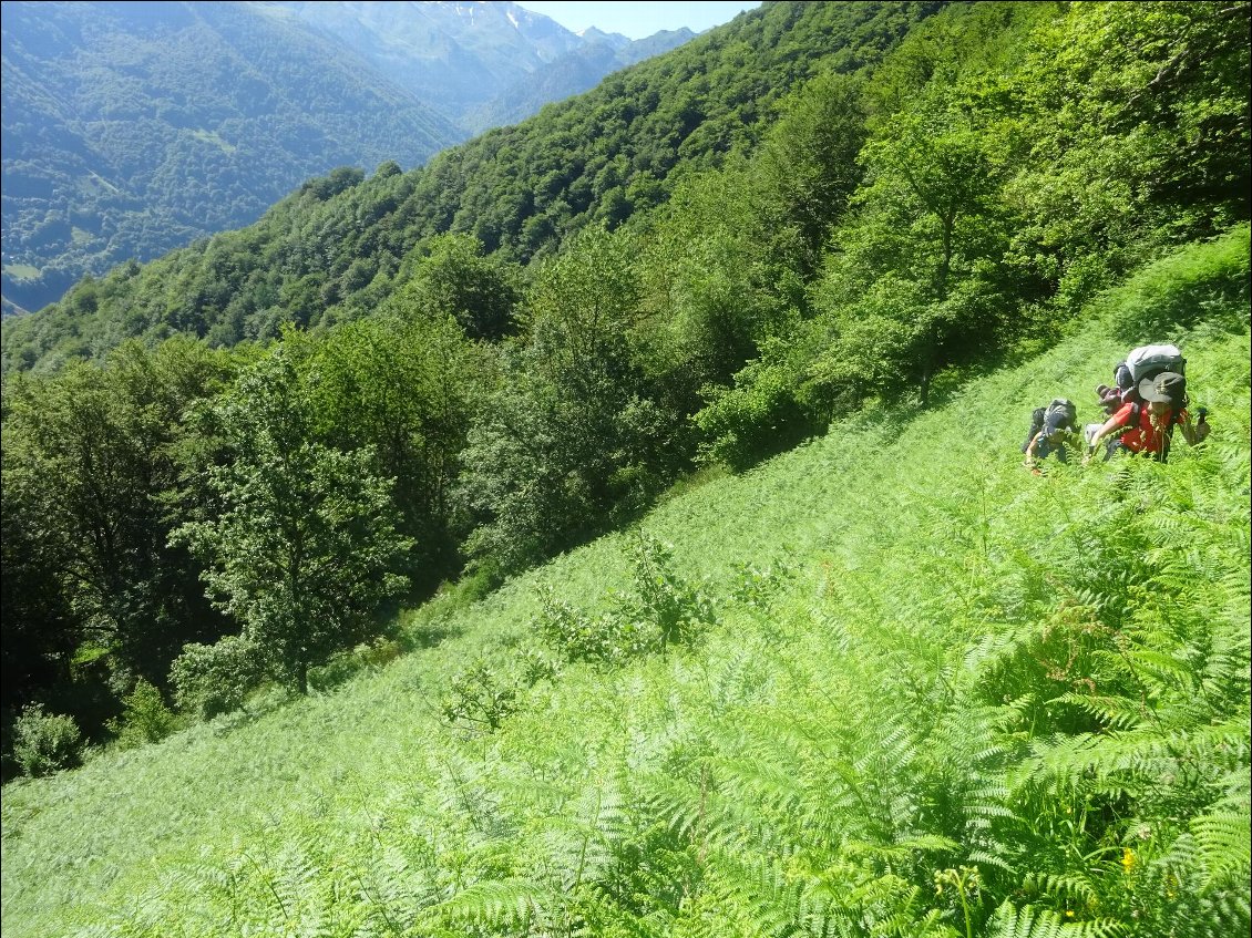 Au départ d'Ateis, heureusement que Jacques avait du flair pour trouver la trace dans cette pente remplie de fougères !