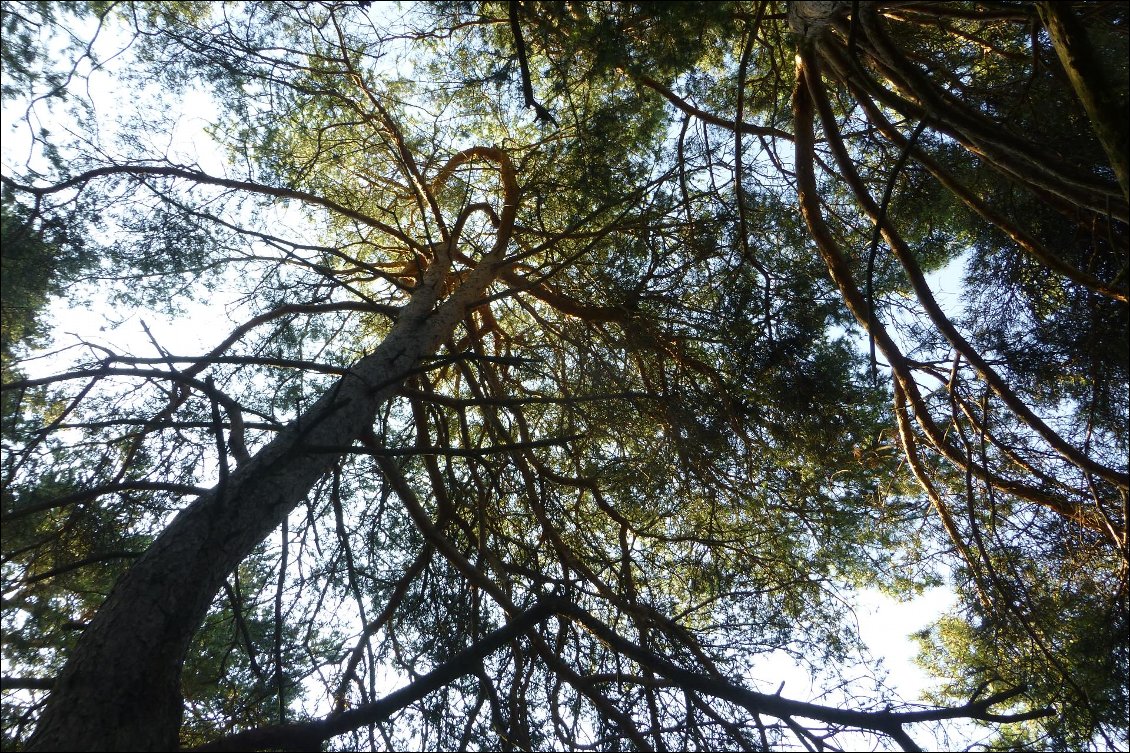 Petite pause à la Baisse de Linaire