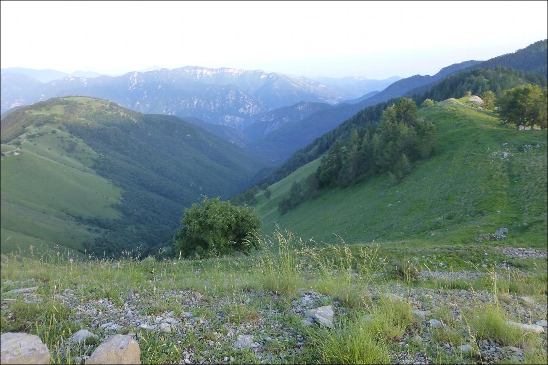 Au fond, en contre bas, la vallée de la Roya.