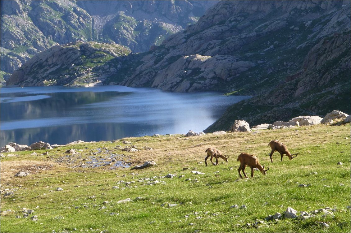 Une brise de face, des embouts caoutchouc aux bâtons (pour éviter le bruit) et c'est le cadeau de la nature...