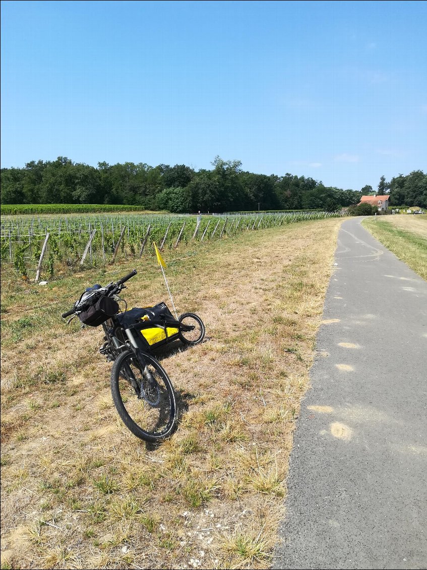 Les vignobles  bordelais 