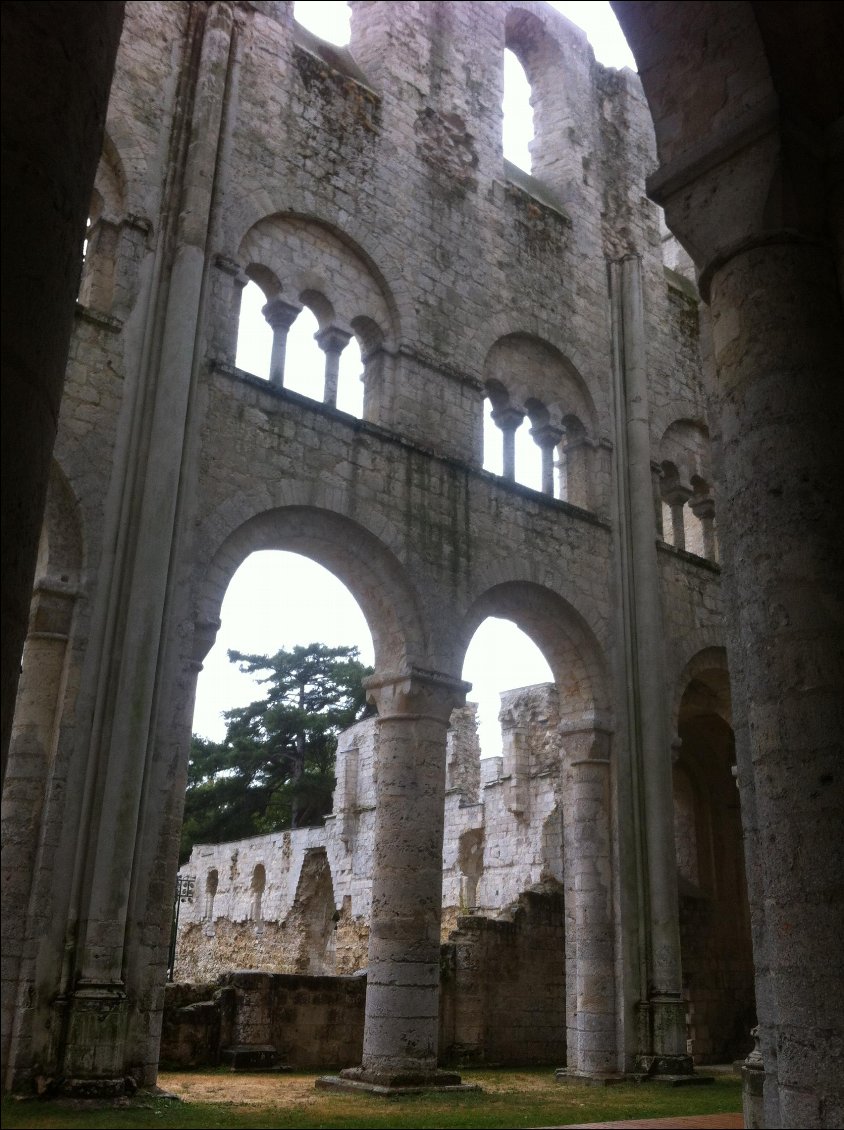 Pluie de 9h à 16h. La visite de l'Abbaye de Jumièges nous a permis une halte