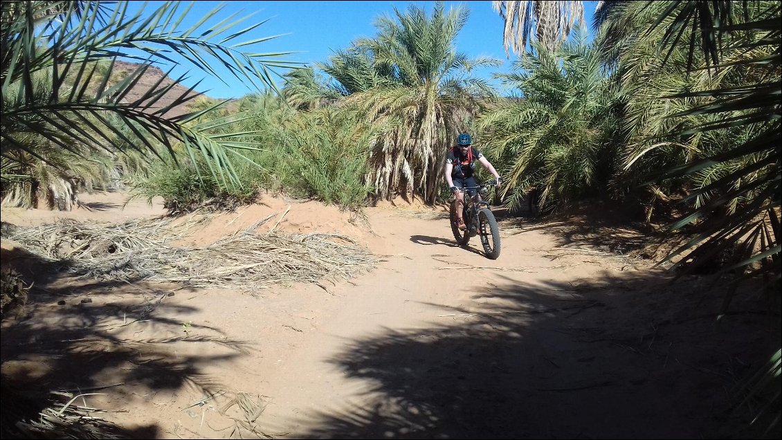 Traversée de palmeraie