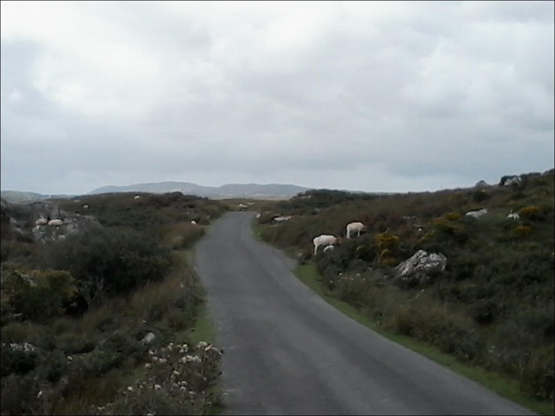 La small pittoresque road.