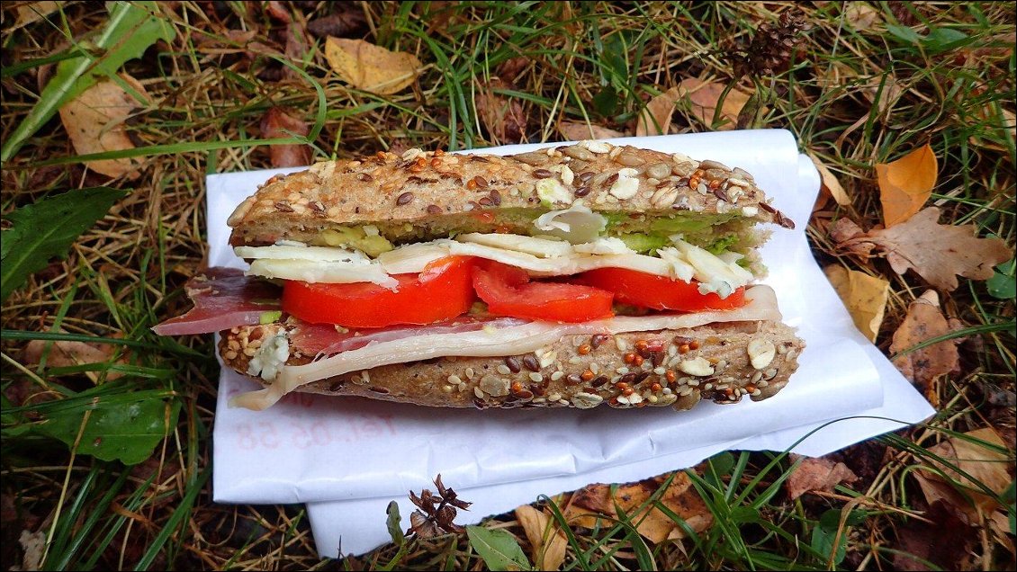 Hmmmmmm... Avocat, fromage et jambon de Bayonne, tomate, pain aux céréales, vive les sandwichs.