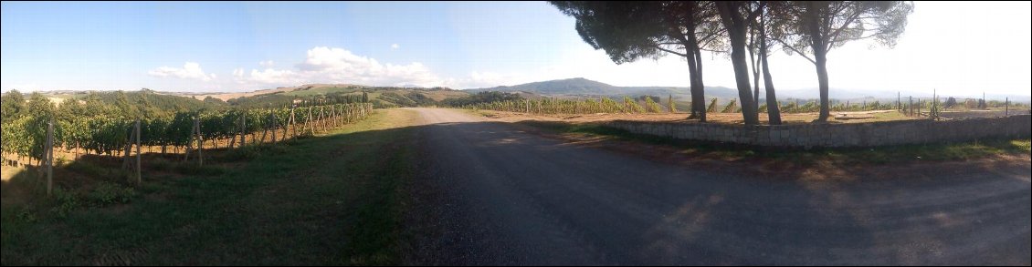 Vue sur les hauteurs.