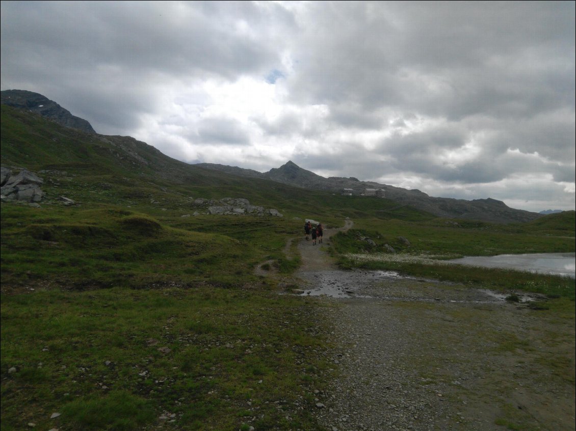 Montée dans les alpages...sous le ciel un peu gris