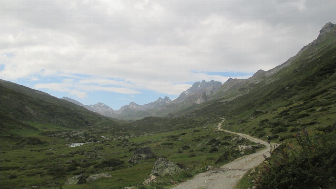 Montée au milieu des vaches...et des chevaux !