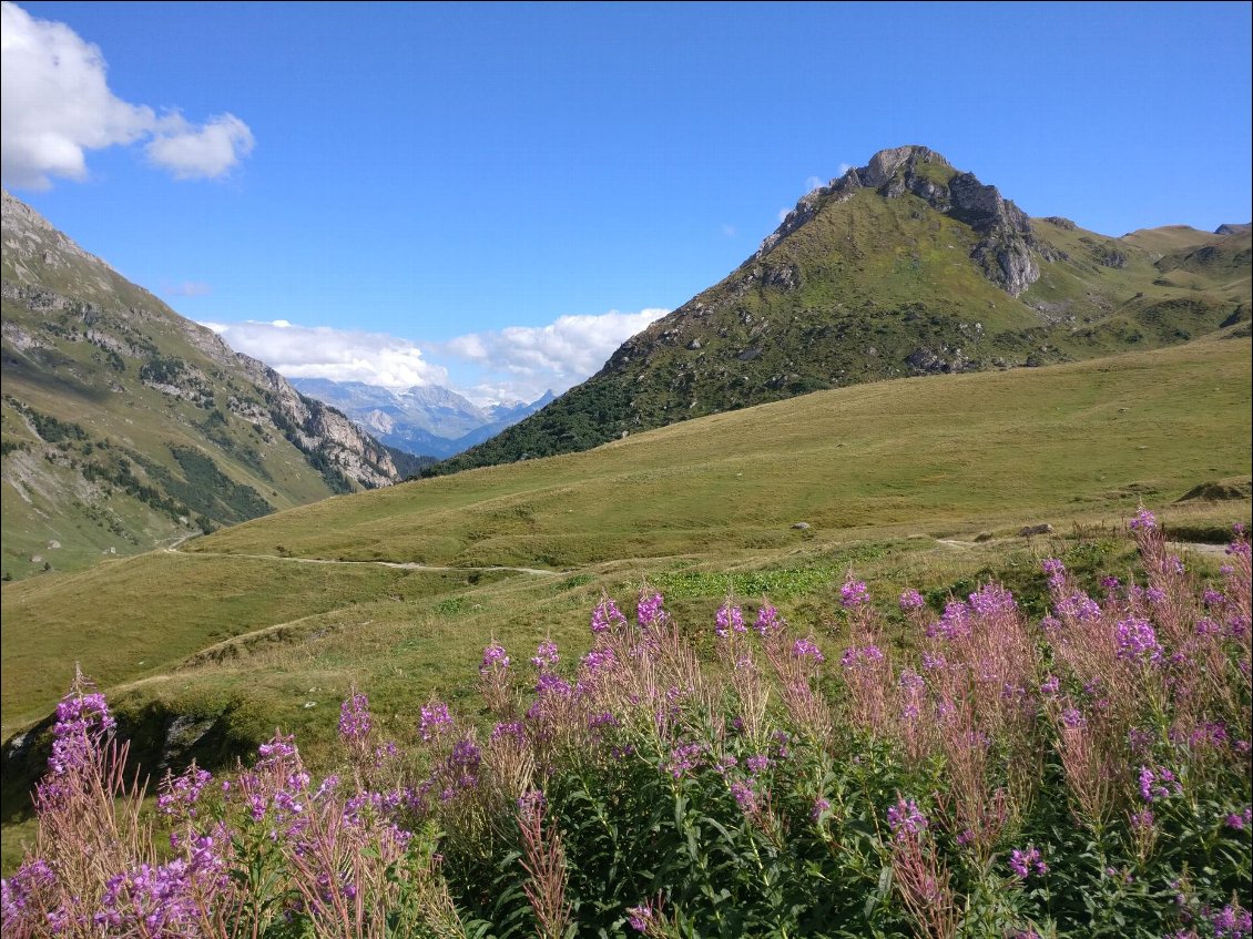 Montée vers le Cormet d'Areche 2111m