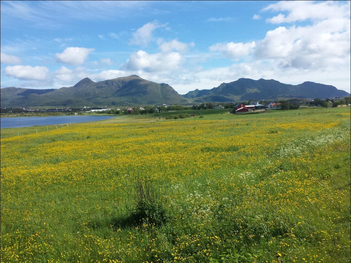 Leknes sur Vestvågøya, voyage à vélo dans le nord de l'Europe (de Lille au nord de la Norvège, puis retour), passant dans les Lofoten fin juin.
Photo : "4 bars et 20 parallèles"