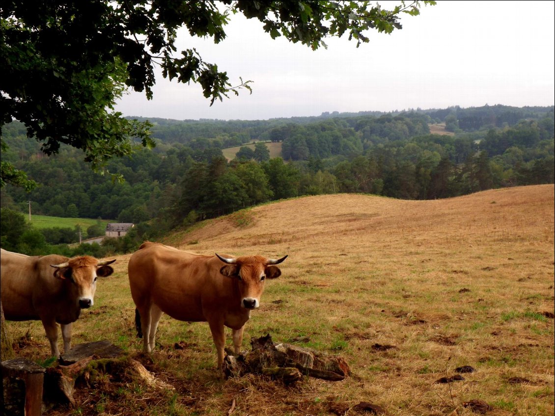 Cover of Corrèze : 3 jours de trek en autonomie