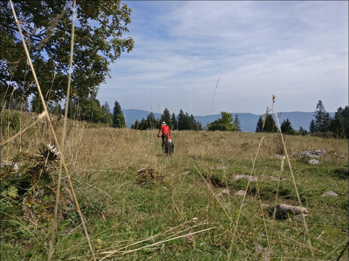 Le Jura suisse