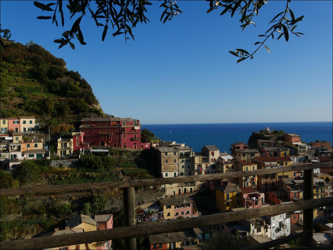 Manarola