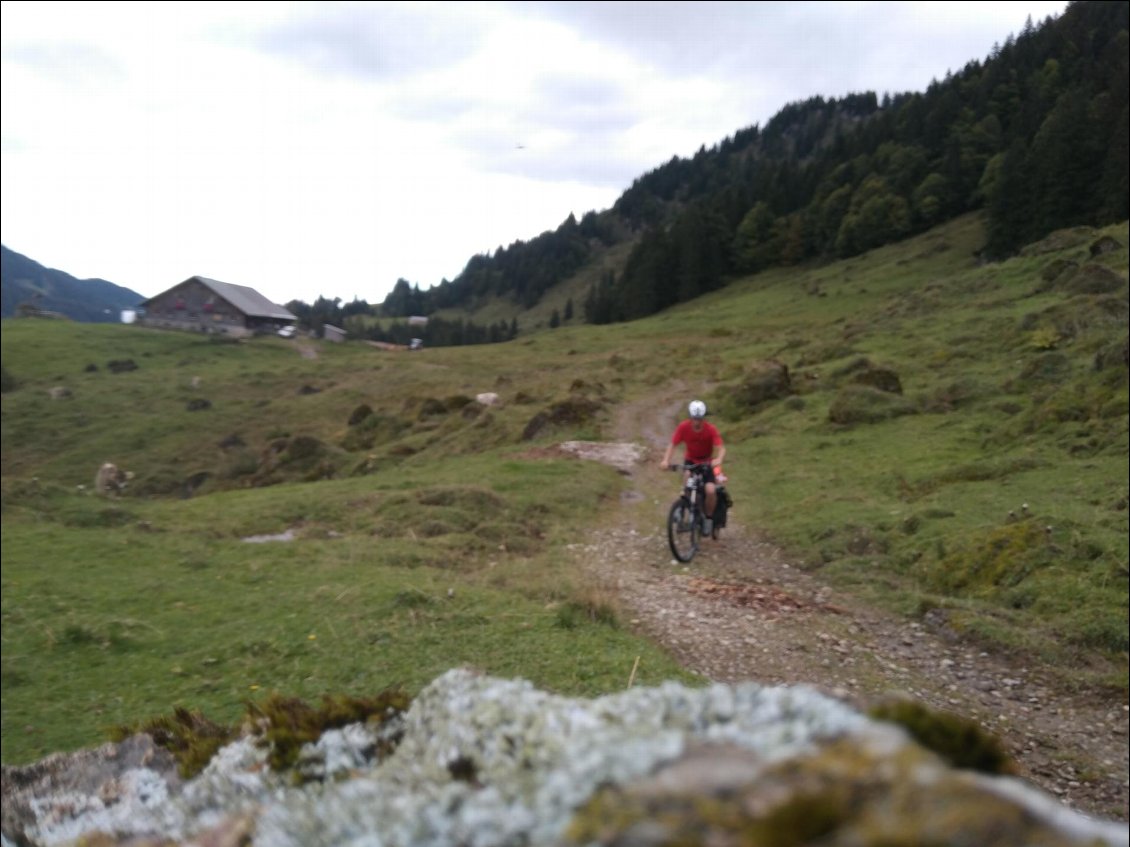 Vallon de Leckner Ach : la piste est agréable du début à la fin.