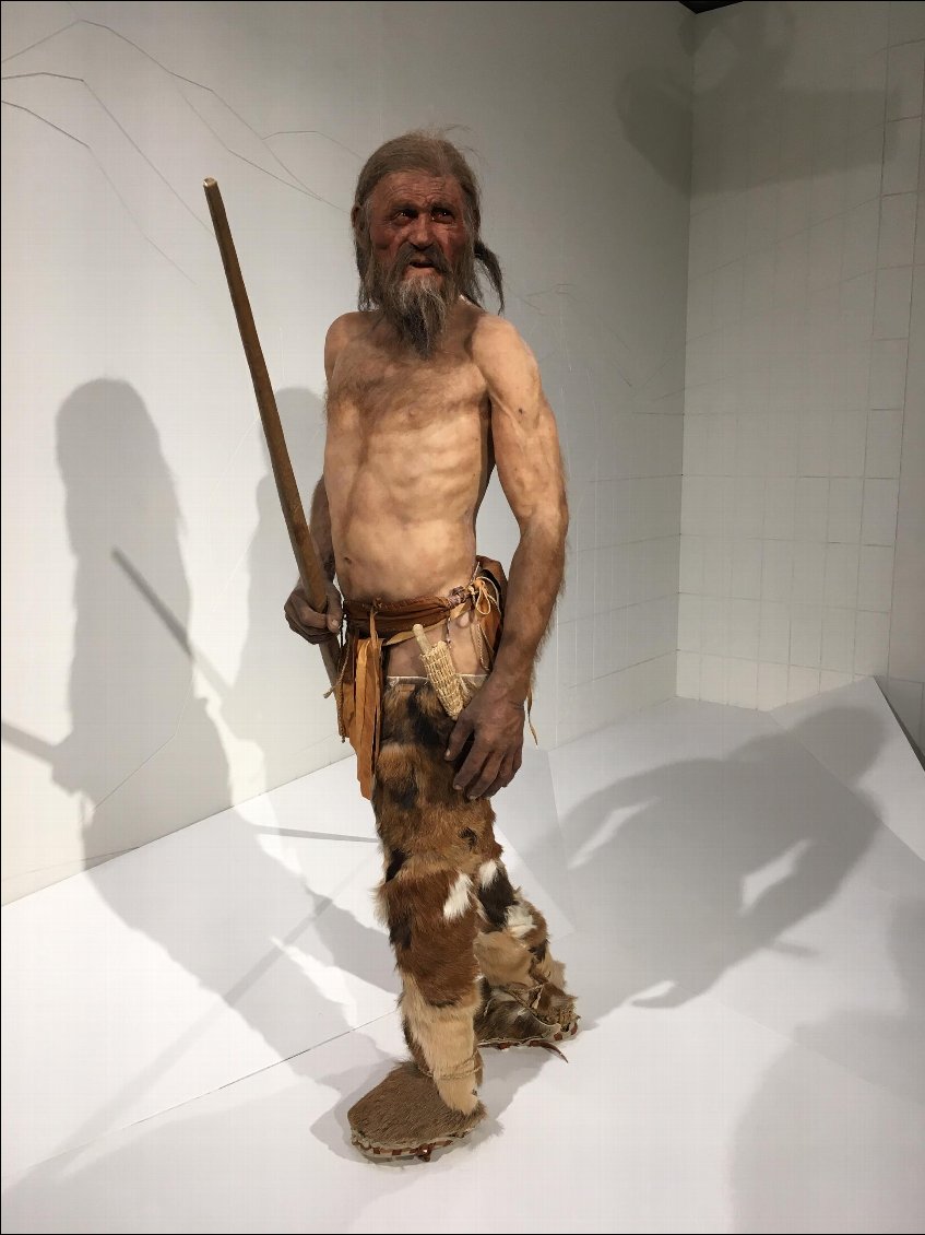 Ötzi, un Papi de...5000 ans!!!