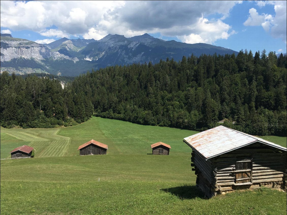 Au pays... de Heidi...