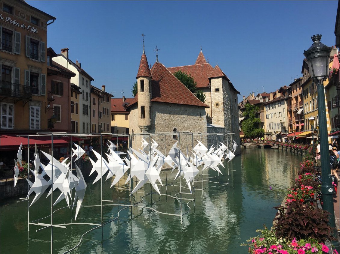 De drôles de poissons dans ce lac, tout de même!