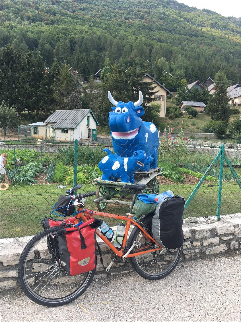 Ah ben ici, les vaches, elles sont bleues?...