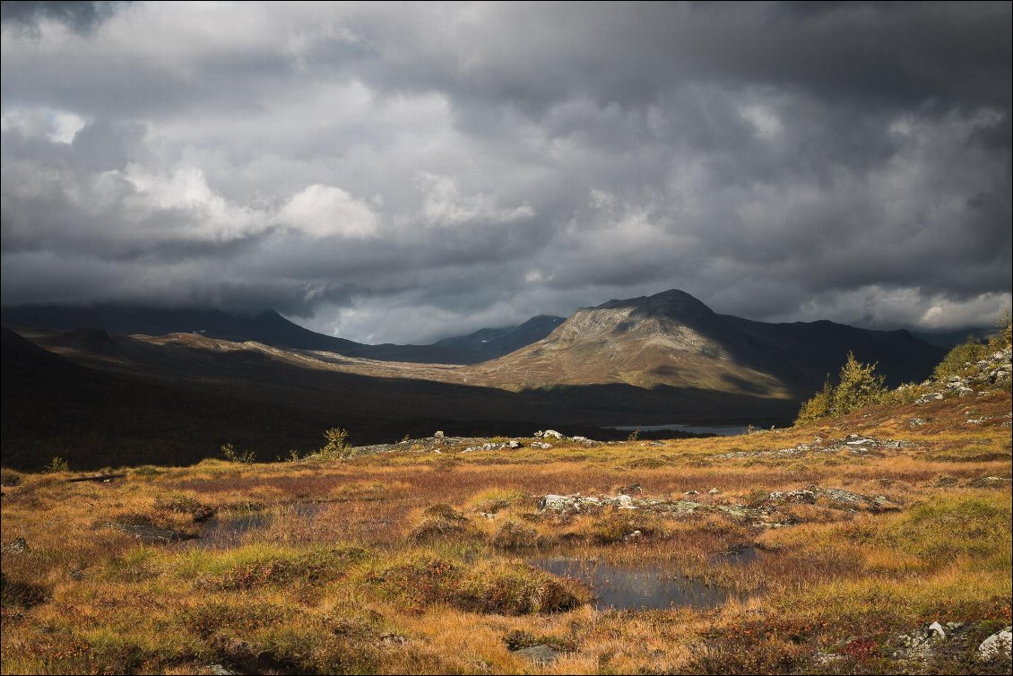 Un paysage tout en contraste