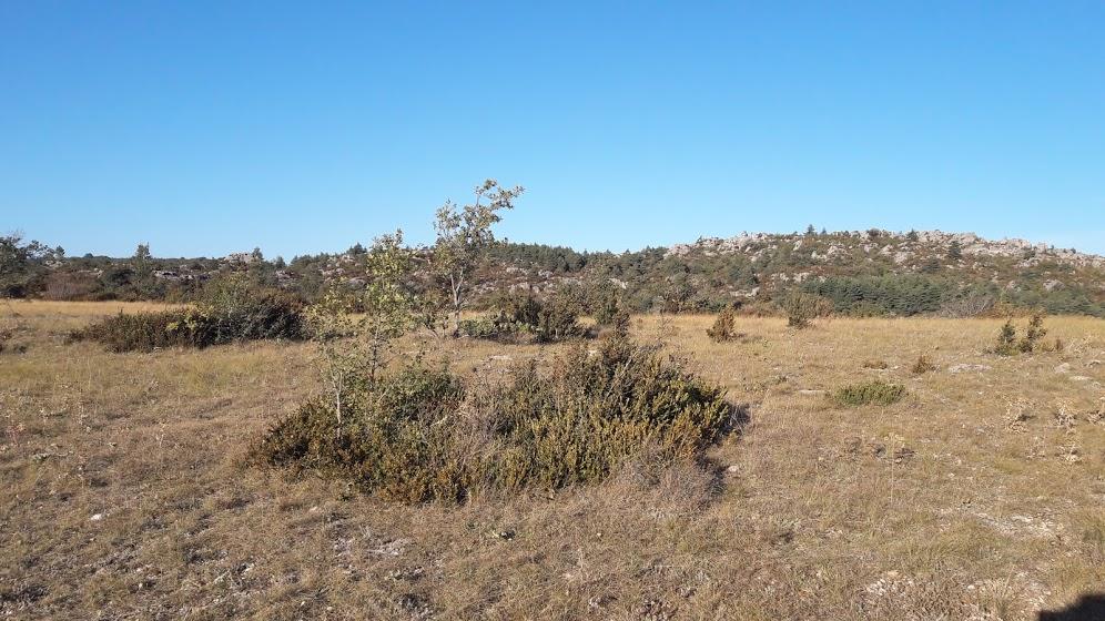 On arrive ensuite sur un paysage de garrigues traversé par des pistes faciles à suivre