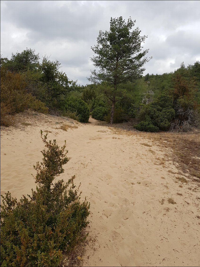 Une partie du chemin passe à de petites dunes sableuses