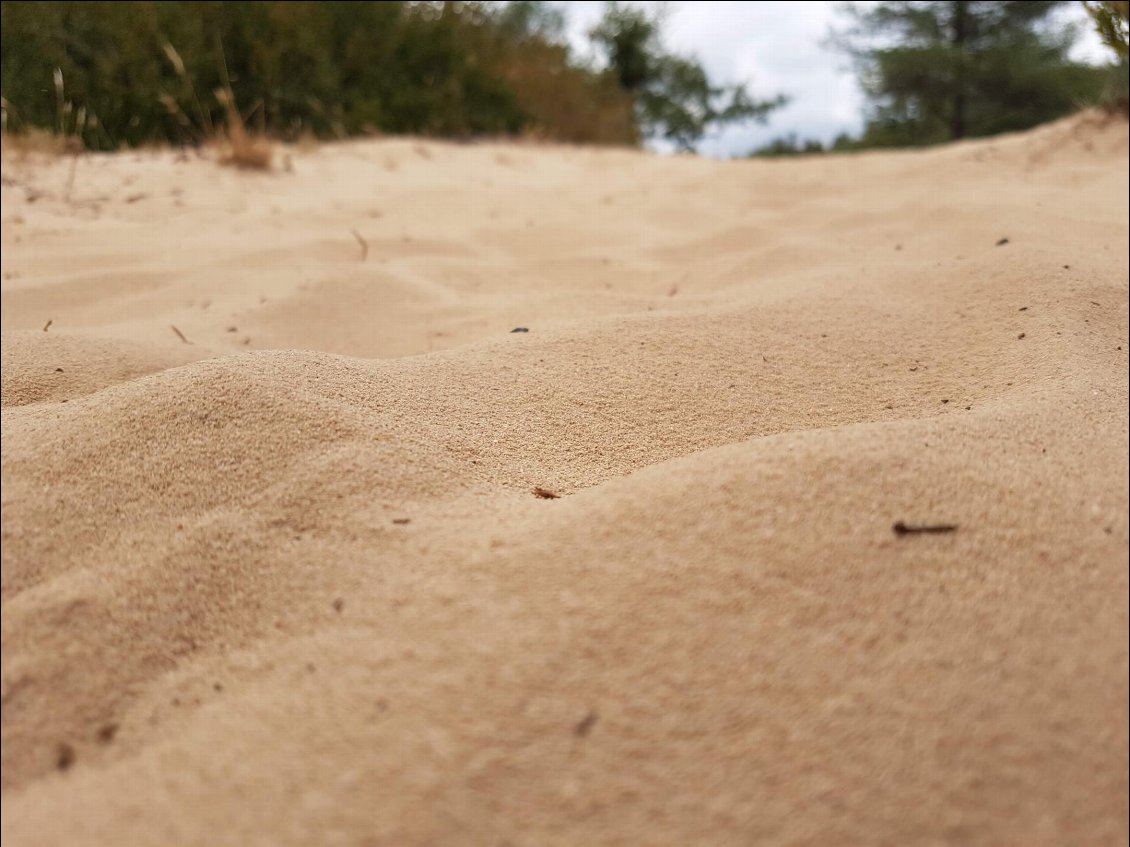 Le sable fin du Larzac