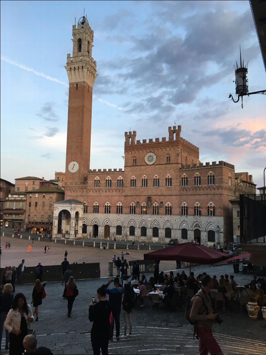 piazza del campo, siena