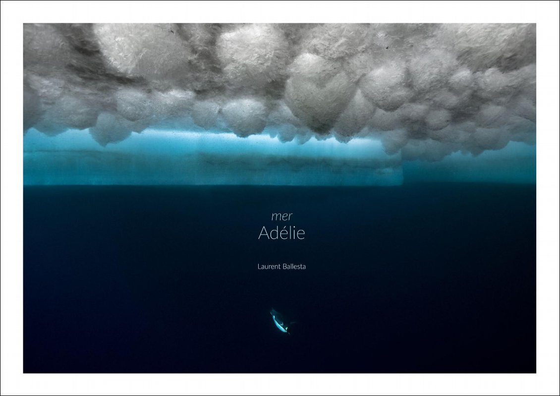 adelie-terre-et-mer