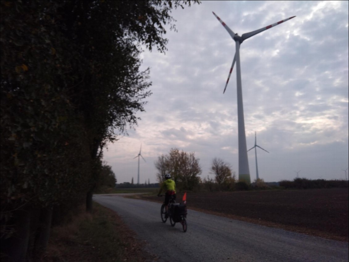 Encore quelques km en Autriche sur un plateau "planté" de centaines d'éoliennes.