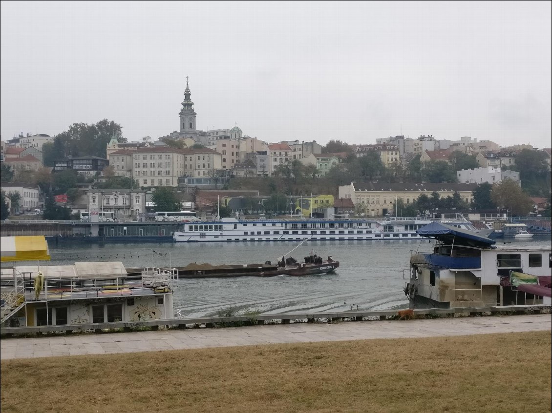 Vue sur le vieux Belgrade
