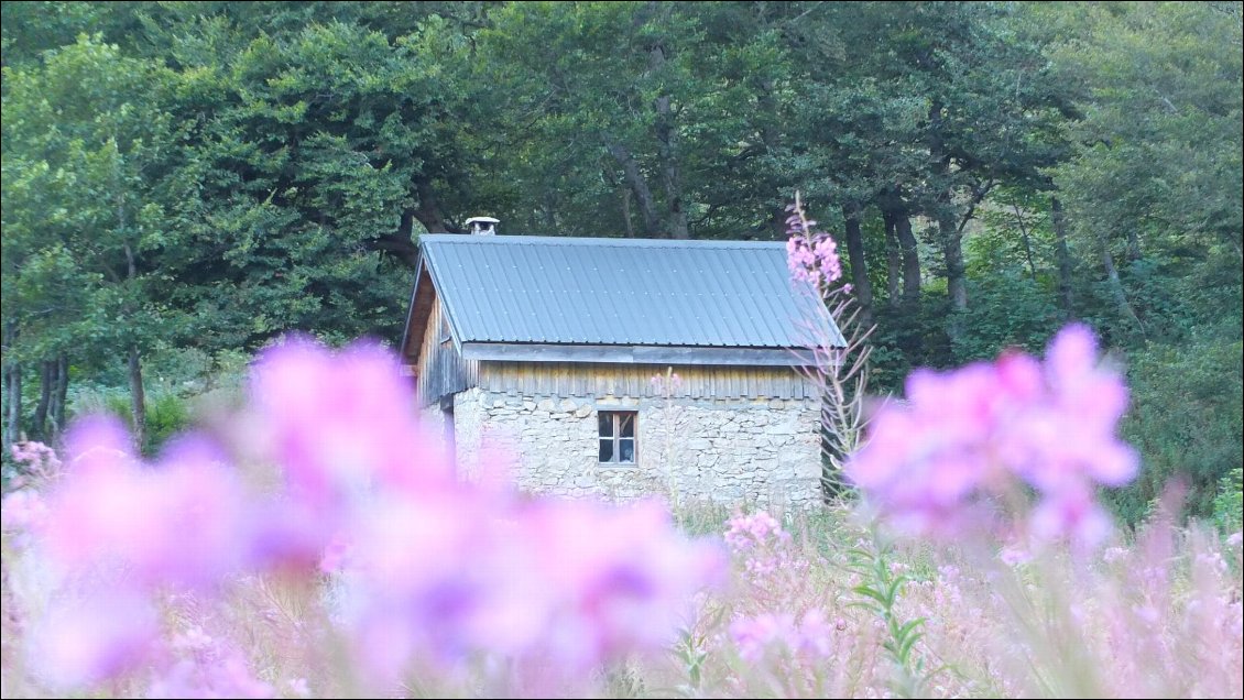 Cabane de Nave, située dans une vallée à 1480m d'altitude, au milieu d'une belle clairière toute fleurie.