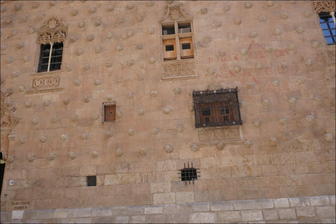 Mur orné de coquilles.