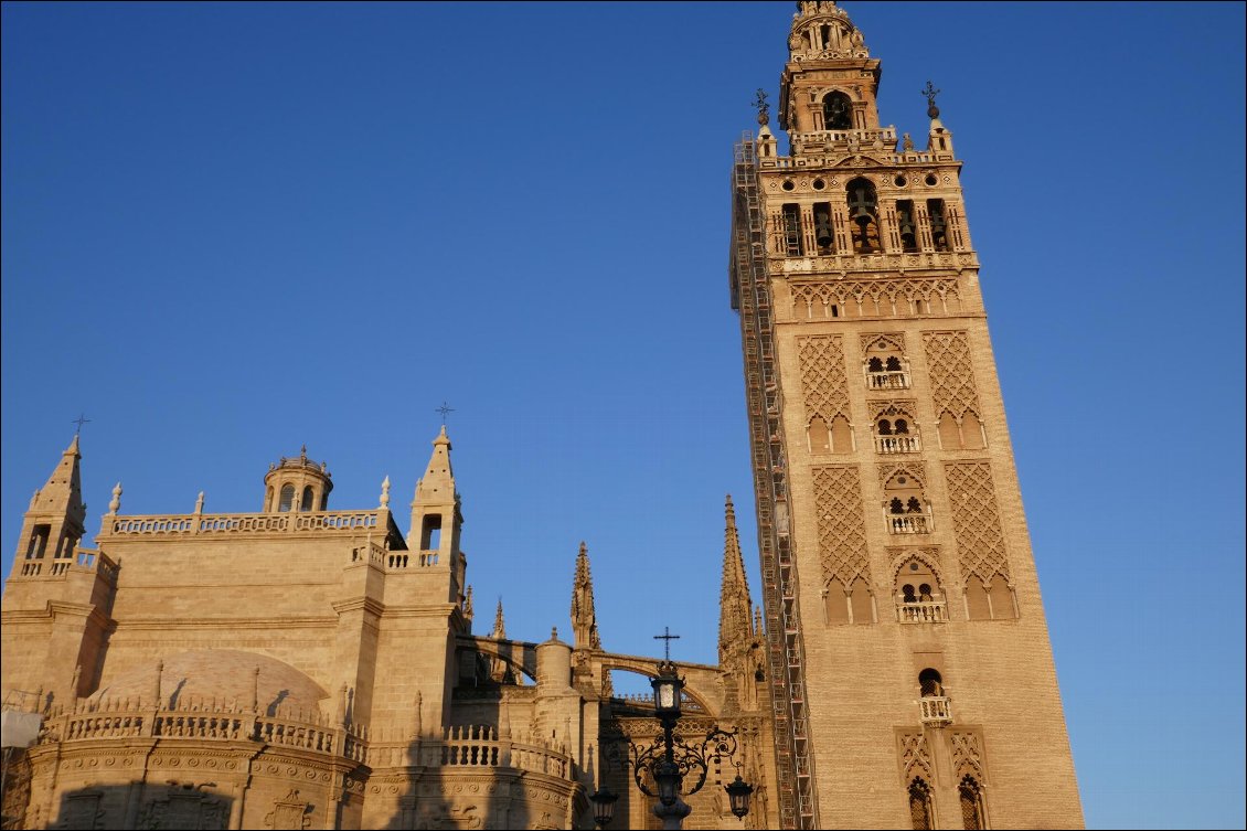 Cathédrale et Giralda