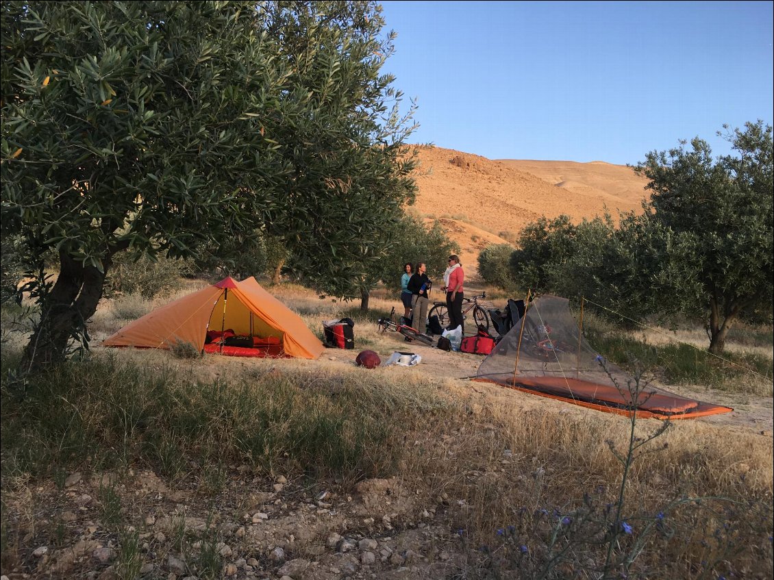 Bivouac sympa sous les oliviers