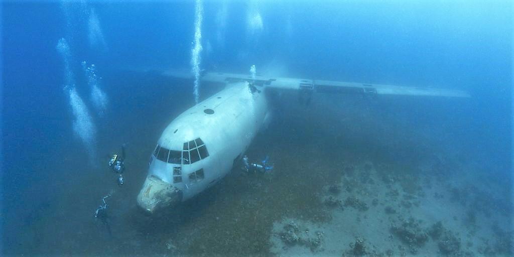 Nouvelle carrière pour ce C130 dépollué et coulé là volontairement afin de servir de support à une vie sous-marine, coraux, algues, et poissons tropicaux. Pour le plus grand bonheur des plongeurs....