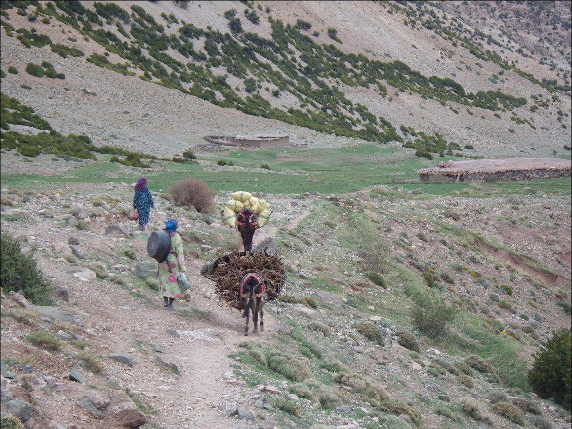 Les dernières bergeries